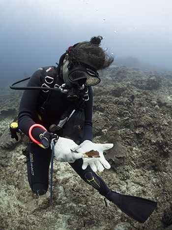 Luce putting her coral propagation knowledge to use, carefully selecting the right corals to grow from