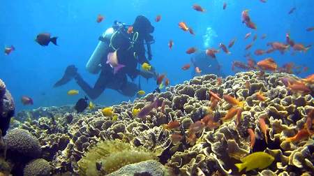 The reefs in the shallower parts of the dive sites are very colourful and full of fish. And the water is warmer.