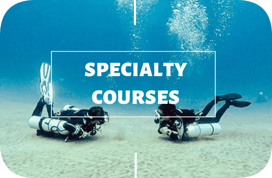 PADI specialties courses with Legend Diving Lembongan