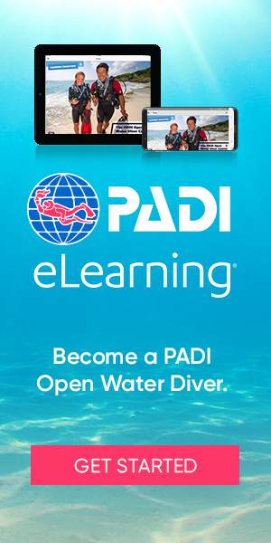 PADI eLearning at Legend diving Lembongan
