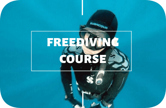 Freediving course at Legend Diving