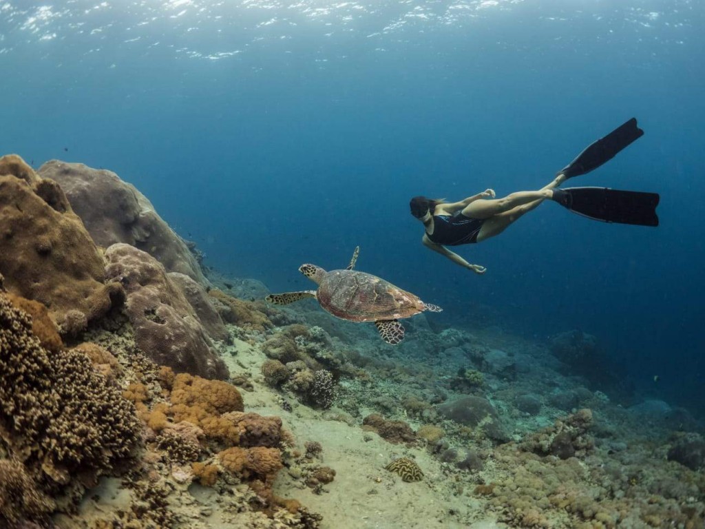 Freediving Nusa Lembongan sea turtle encounter.