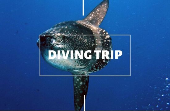 Diving Nusa Lembongan with Legend Diving Lembongan - Nusa Penida diving trips