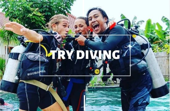 Diving Nusa Lembongan with Legend Diving Lembongan - Padi discover scuba diving Lembongan
