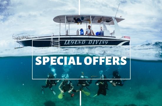 Special Offers for diving courses at legend diving lembongan