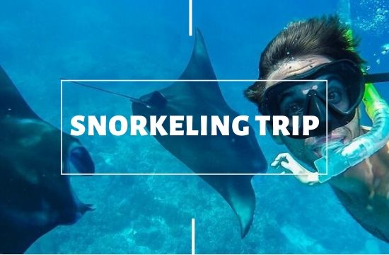 Why not go on a snorkel trip where you can practice freediving Nusa Lembongan