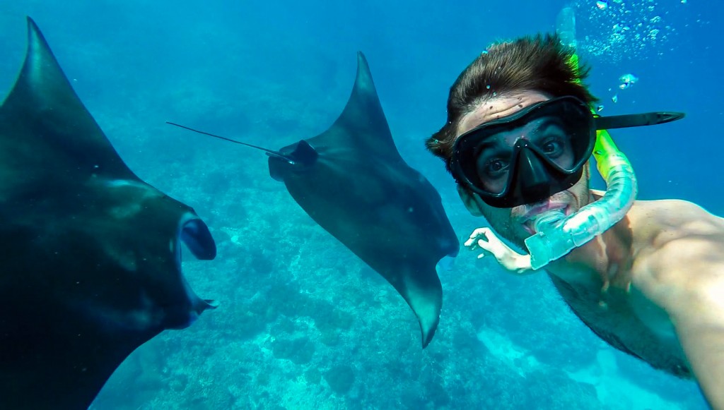 snorkeling with manta rays @legend diving lembongan