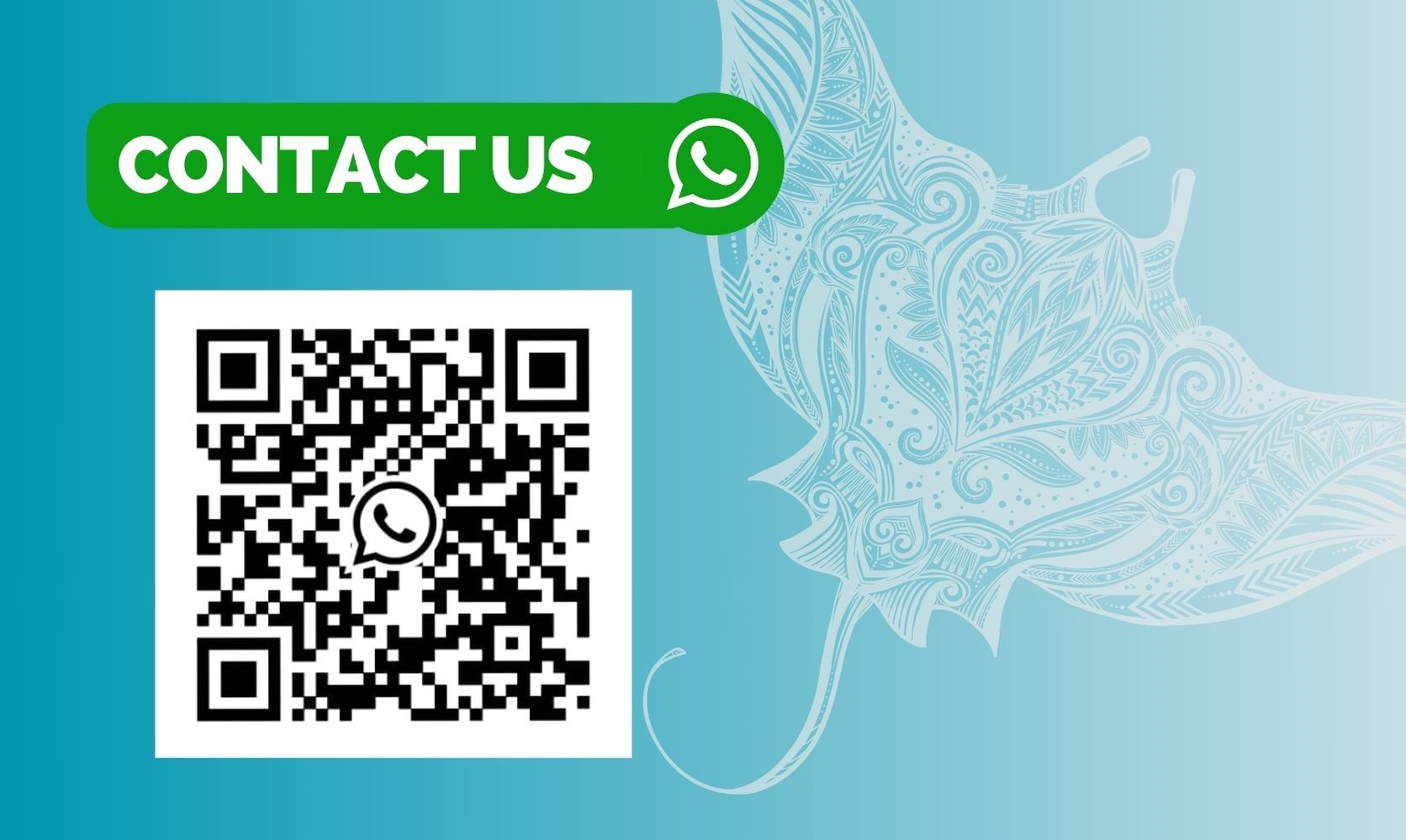 Contact us by whatsapp