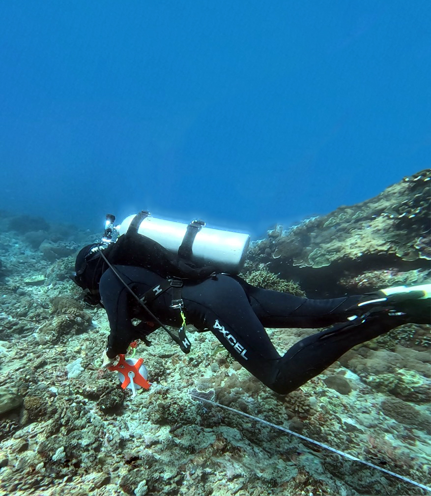 CORAL AND FISH SURVEY METHOD